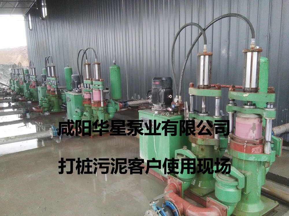 咸陽壓濾機專用柱塞泵品牌